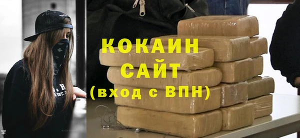 дживик Бронницы