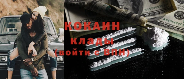 дживик Бронницы