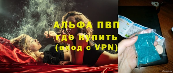 дживик Бронницы