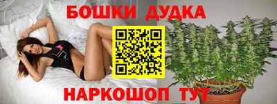 хмурый Кандалакша