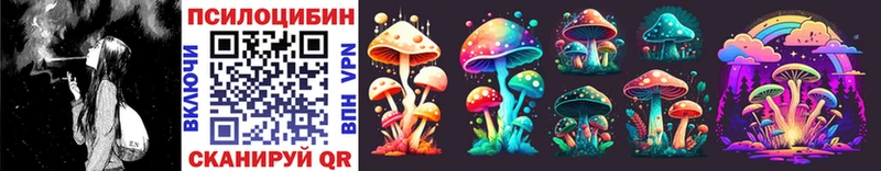 darknet какой сайт  Верхняя Салда  Псилоцибиновые грибы Psilocybe  наркотики 