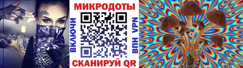 Галлюциногенные грибы Psilocybine cubensis Верхняя Салда