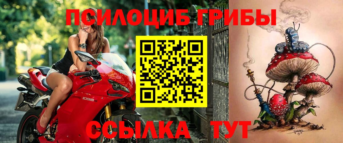 Псилоцибиновые грибы Cubensis  Псилоцибиновые грибы MAGIC MUSHROOMS  Вход с VPN  Верхняя Салда 